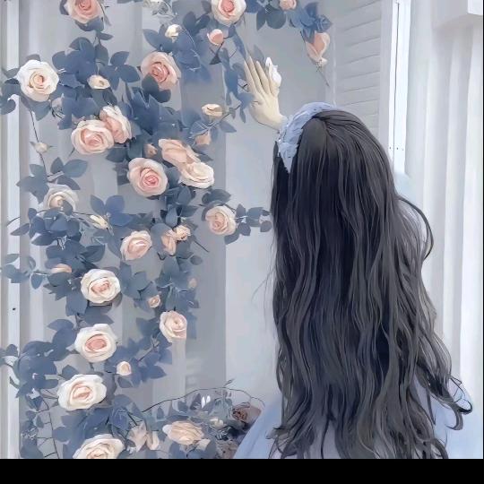 小鱼