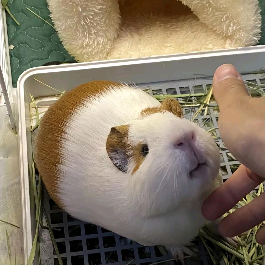 自由自在一个人