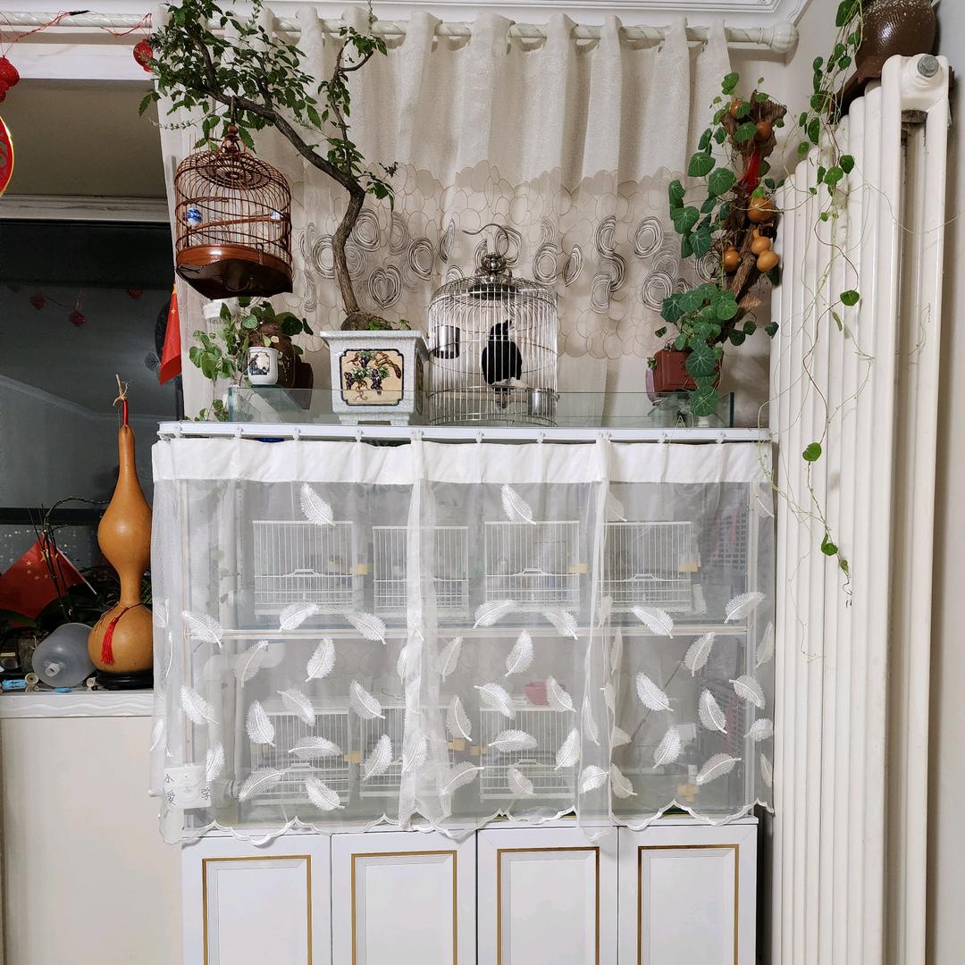 创兴智能养鸟设备