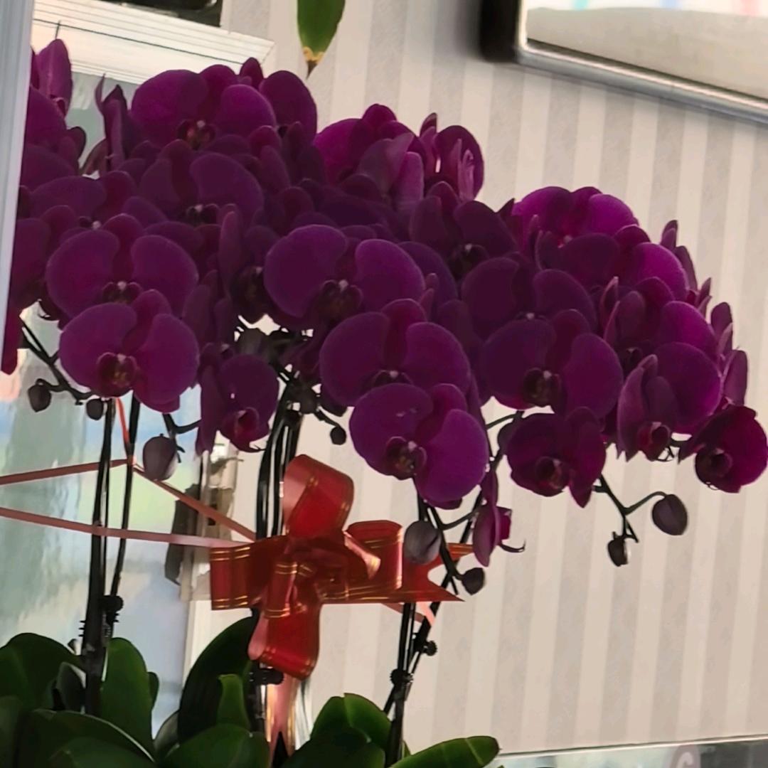 土锅王(清熙嘉苑小区旁)