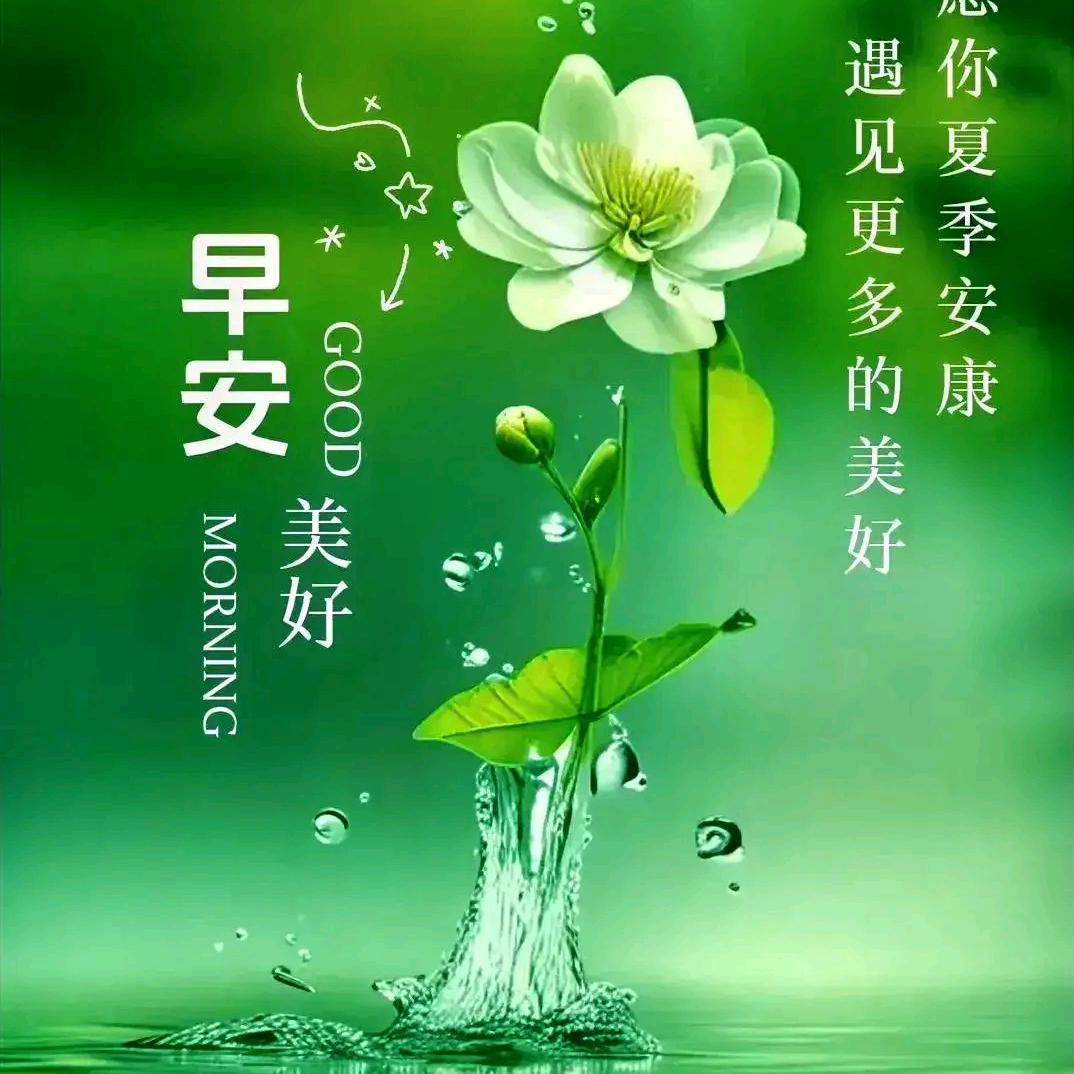 简单人生