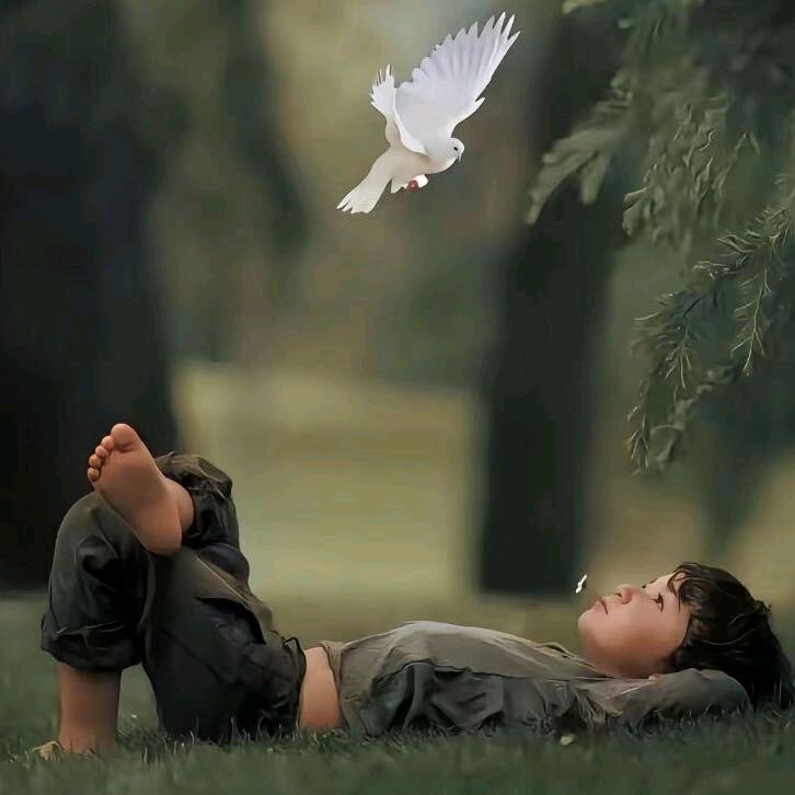 ࿐ ．སེམསℳ