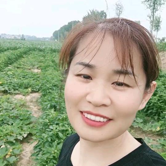 博博妈