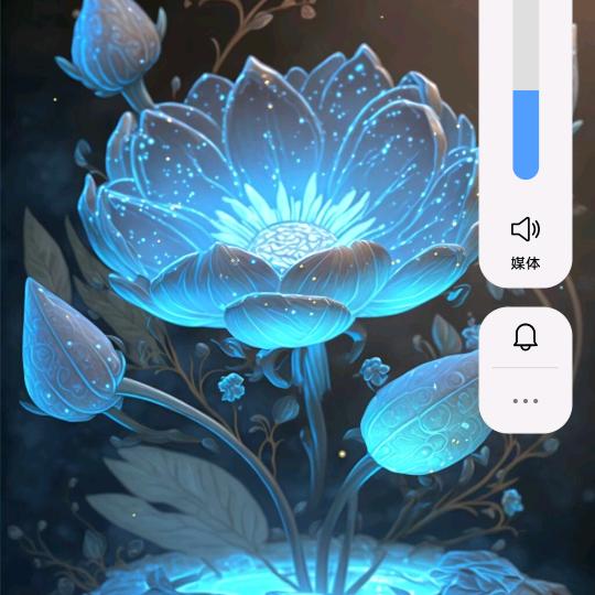 龙飞凤舞 *拒私聊*