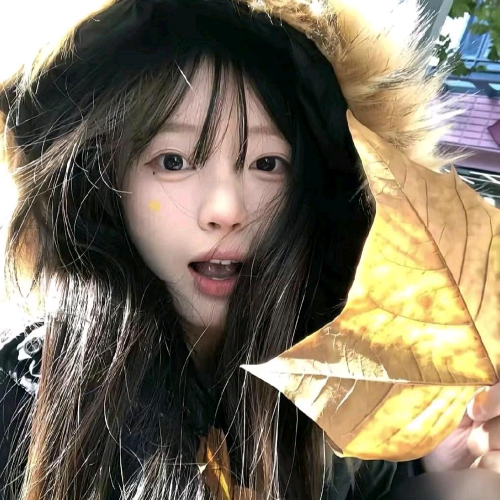 爱吃土豆.