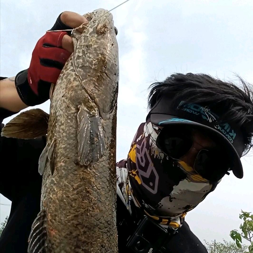 户外黑鱼猎人刚子