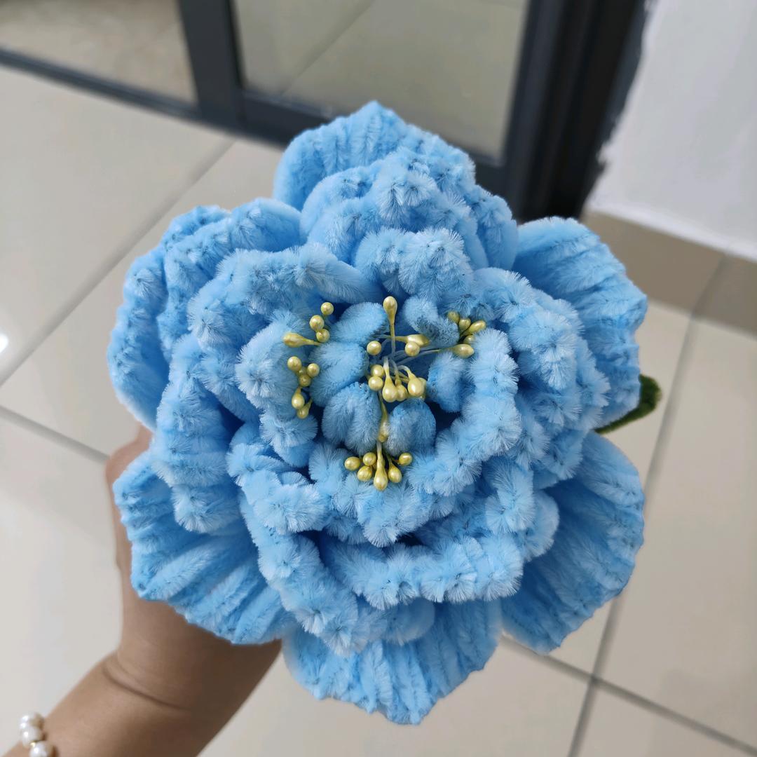小紫的手工（可接受成品）