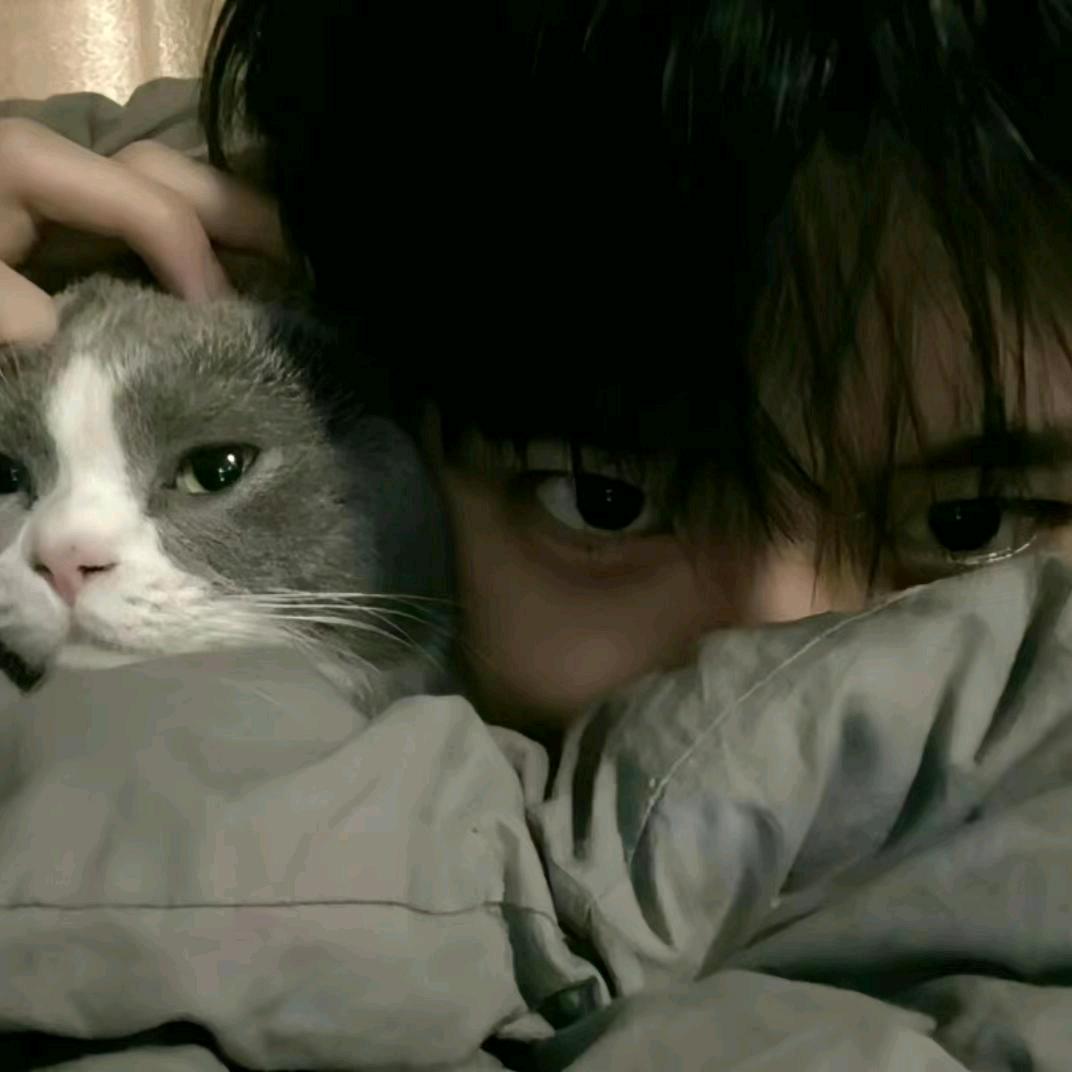 无回应🤾‍♀️（自律版）