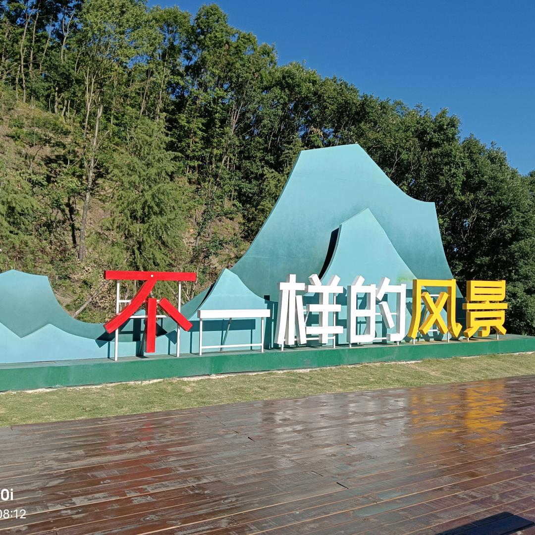 关关雉鸠