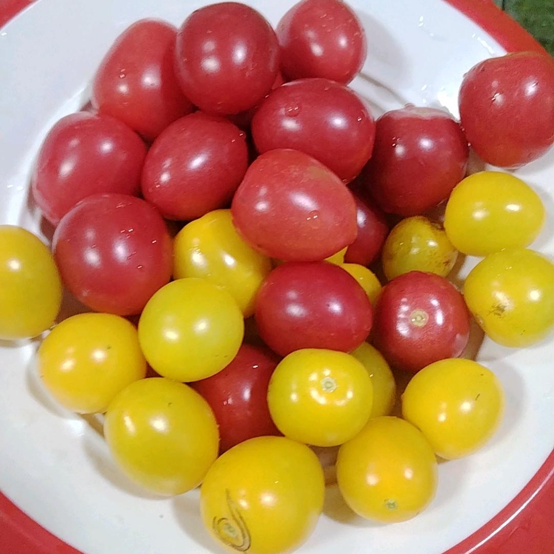 静静的守候🧡ྀི💛ྀི❤️ྀི