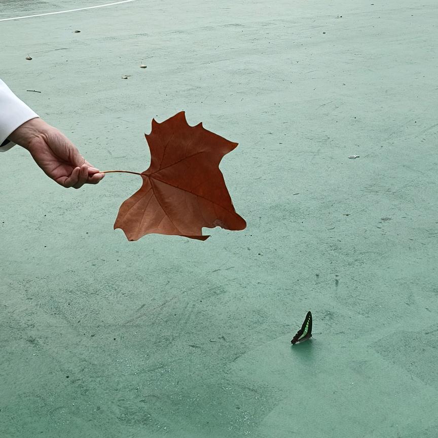 鉴诗见心