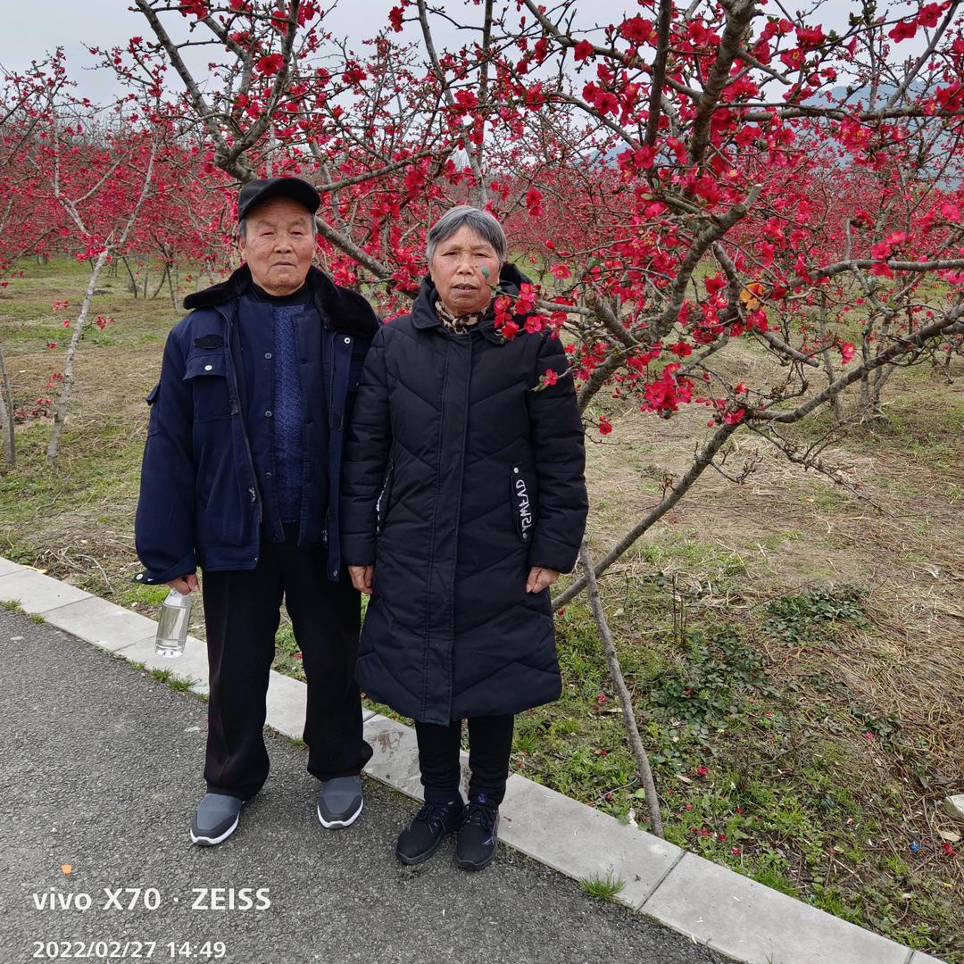 幸福的味道🎤(晚上7:20开播)