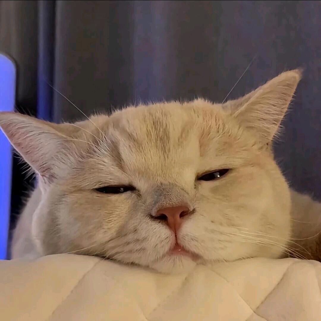 。。.