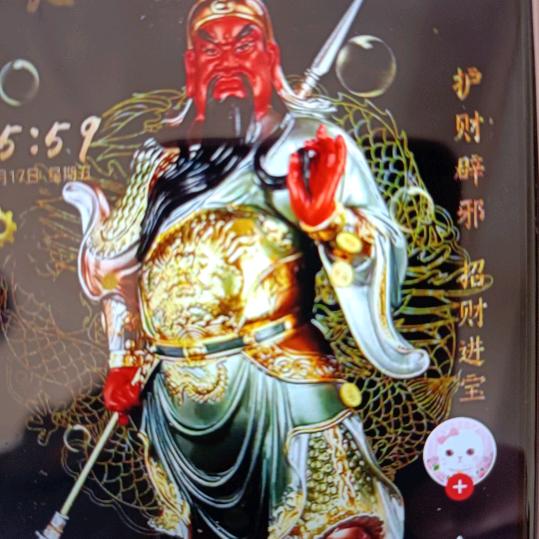陕西逗哥