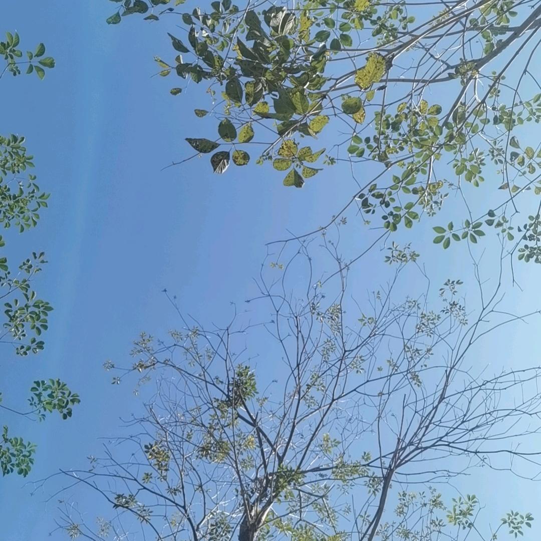 汝汝