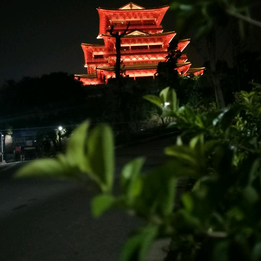 人生