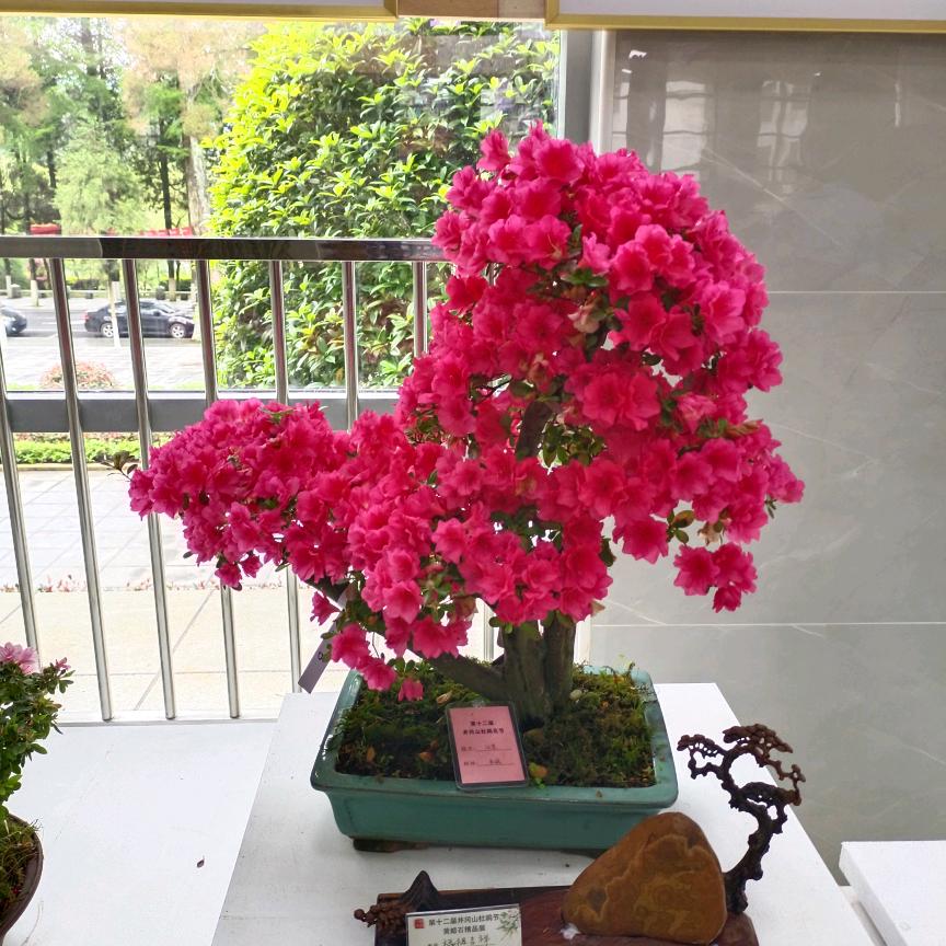 旧巷回忆