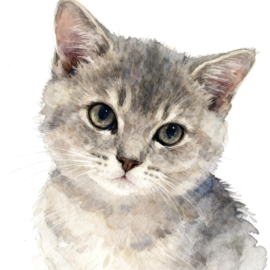 灯火憧憧（努力码字版）