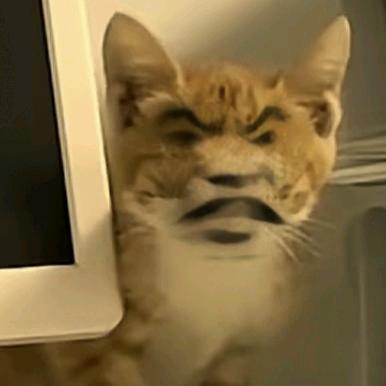 敬亲恩专营店笑笑