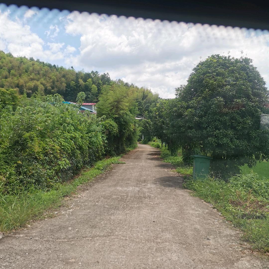 立马电动车(坪山路店)