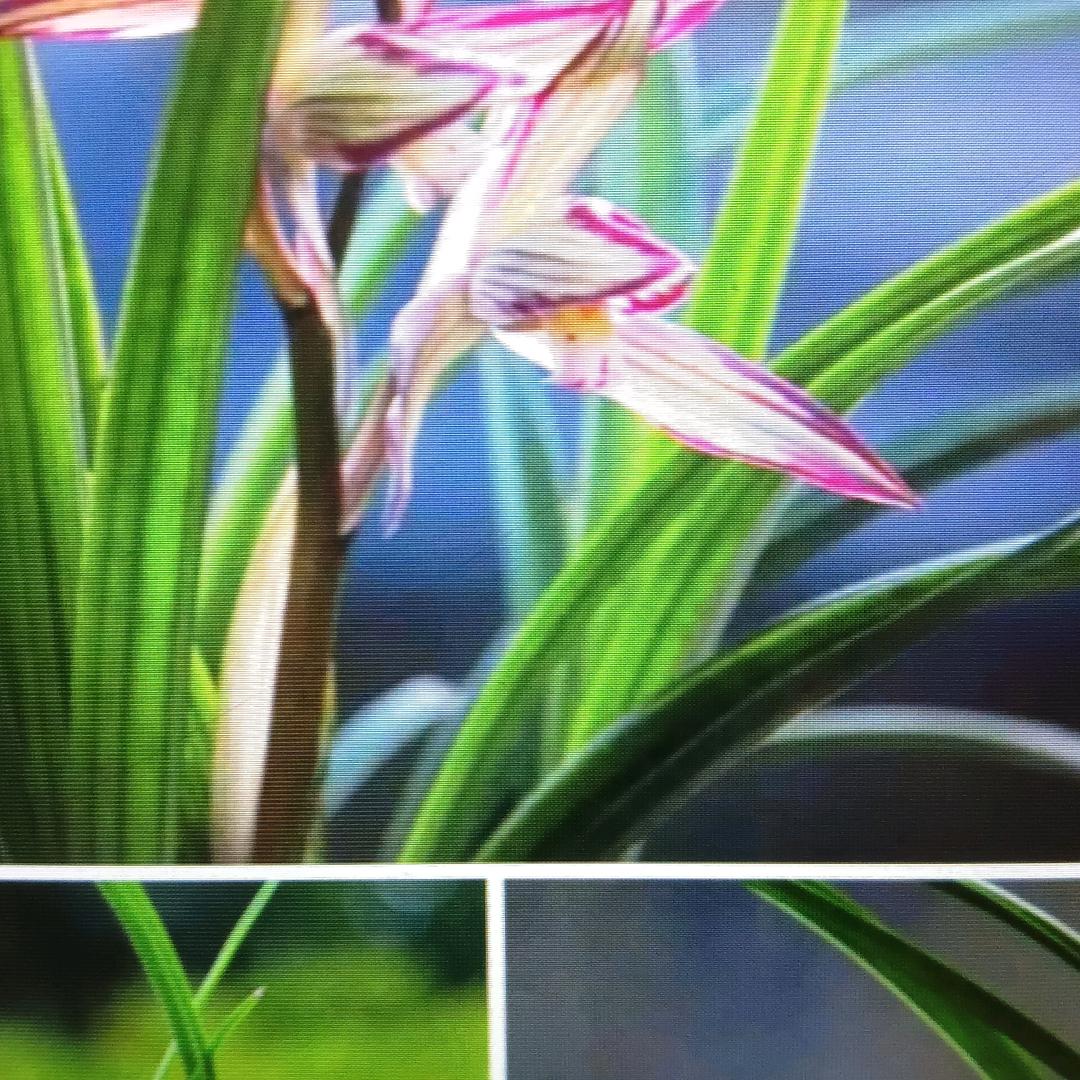 珍惜