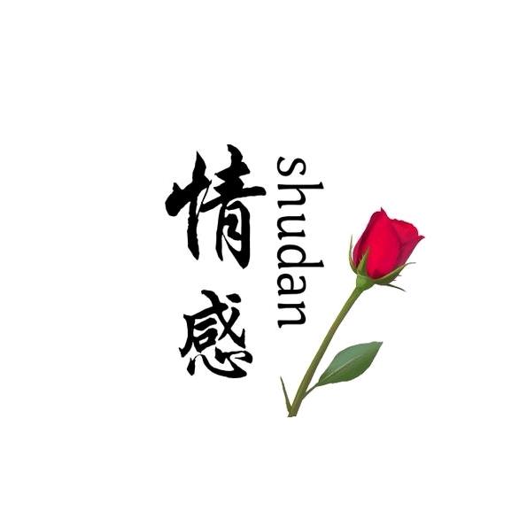 妃妃书单