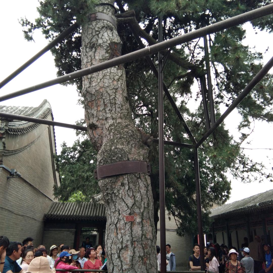 阿梅好物精选*
