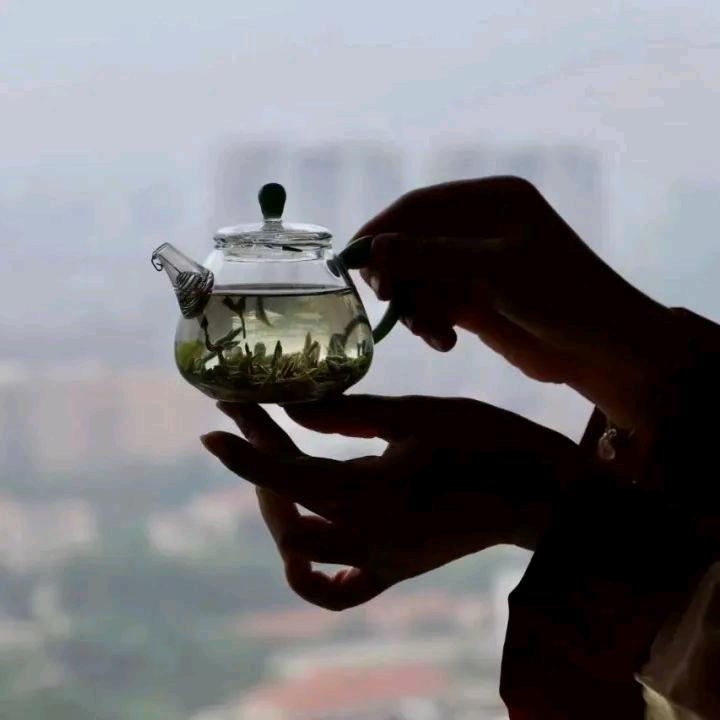 《余生半壶茶》生活分享