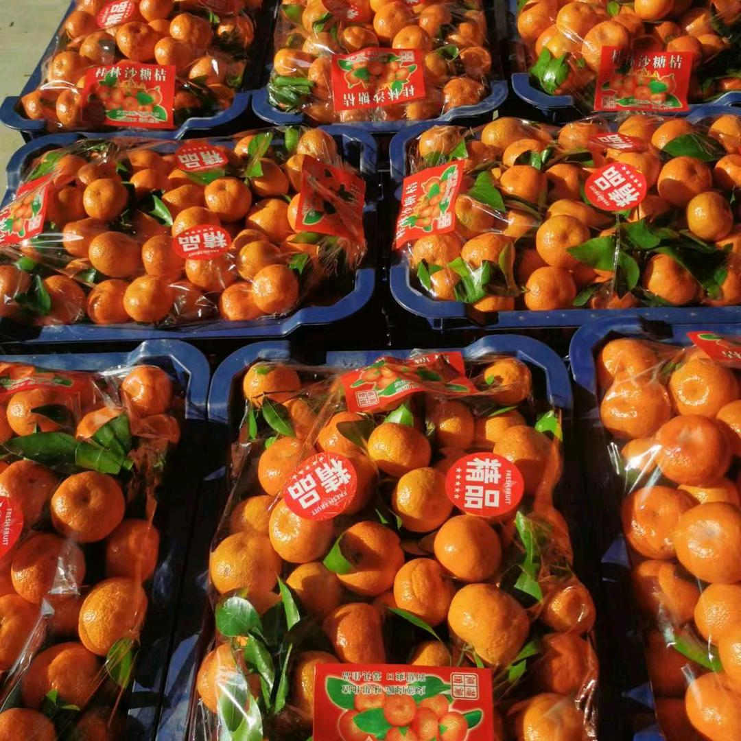 大平水果来了🍎