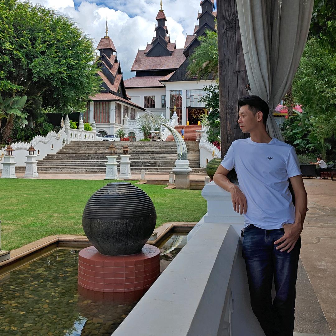 骆哥甄选古树茶