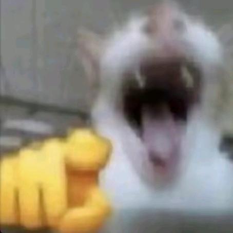 本名苏末維