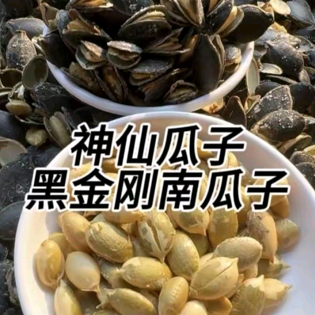 黑金刚南瓜子-百里挑一