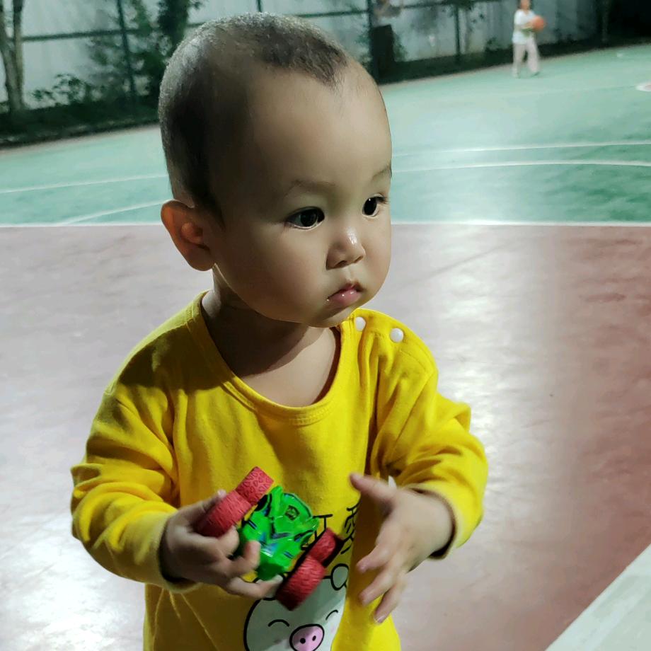 小政宝成长记