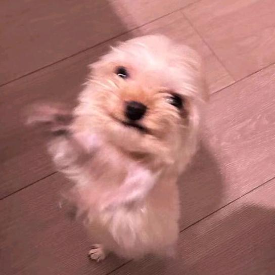 💙𝒔𝒆𝒗𝒆𝒏⭐