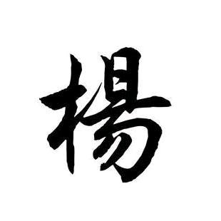 杨老