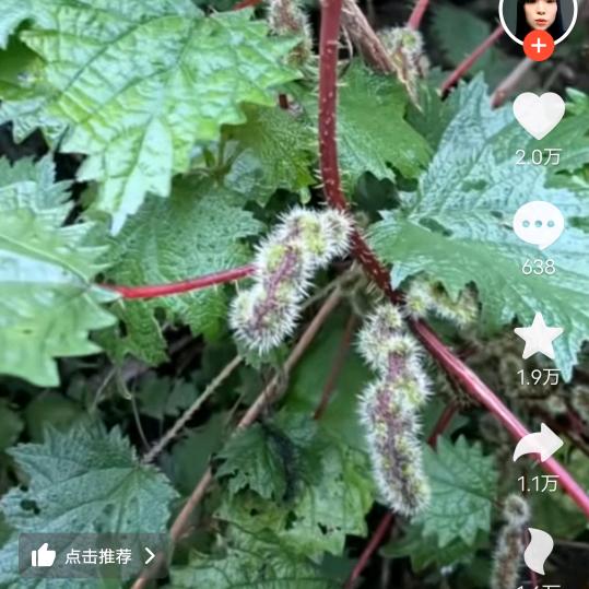 笑看人生往事不提