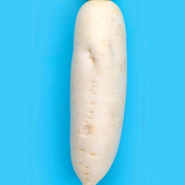 前夫哥