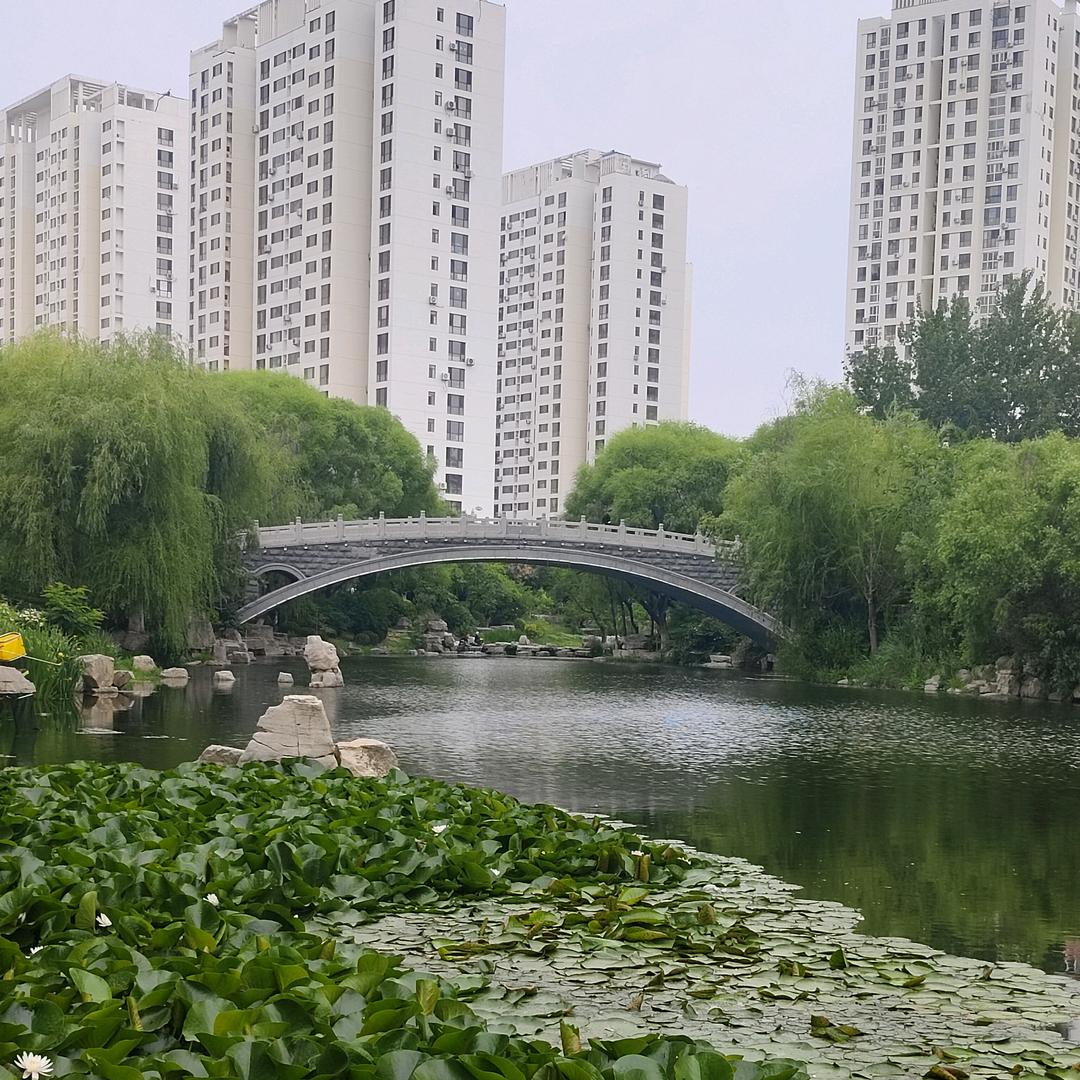 凡花普景