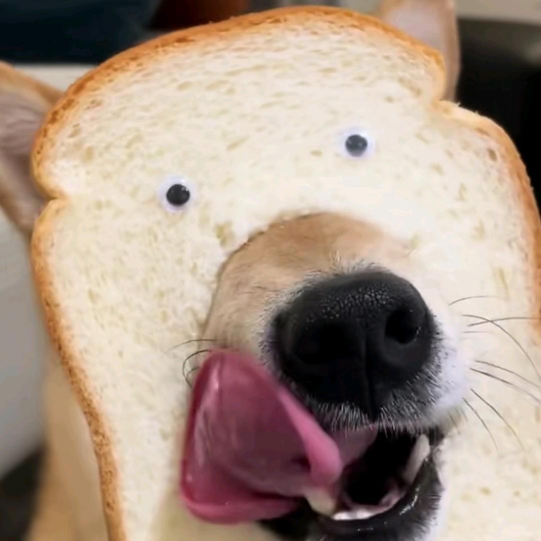 叛逆少年反穿内裤