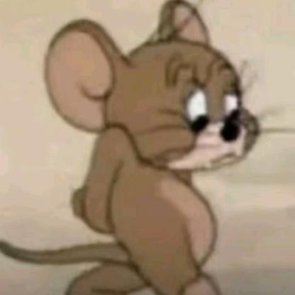 羊笨笨