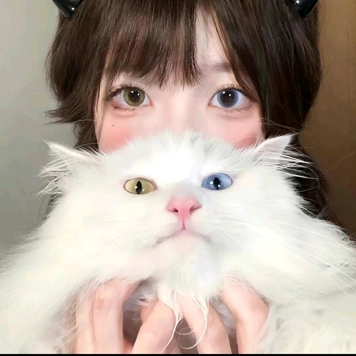 小会