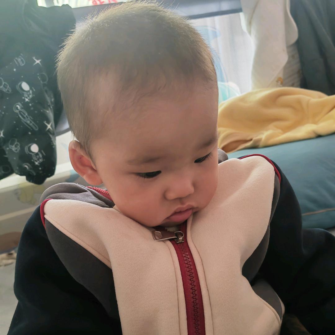 酒酿小鱼干儿🐟/