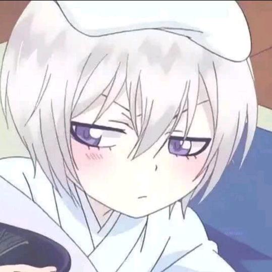 司