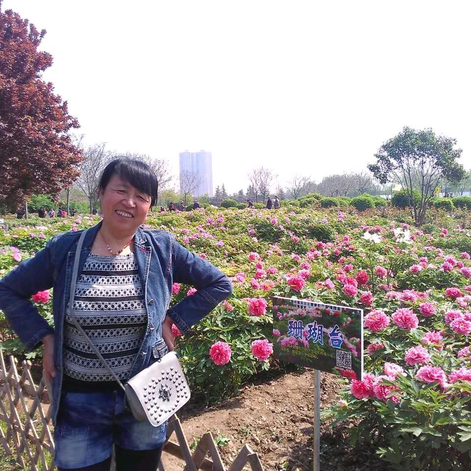 平安姐！