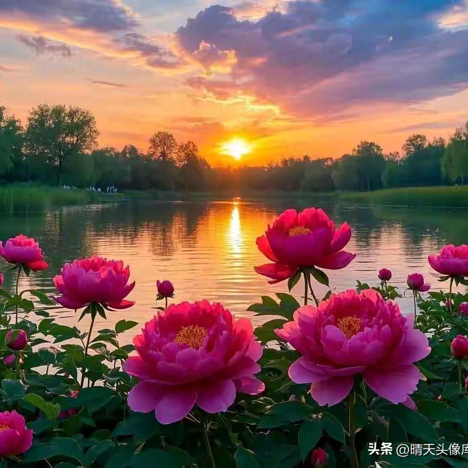 好运天天来