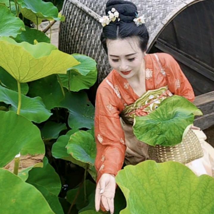 黄岩火凤凰