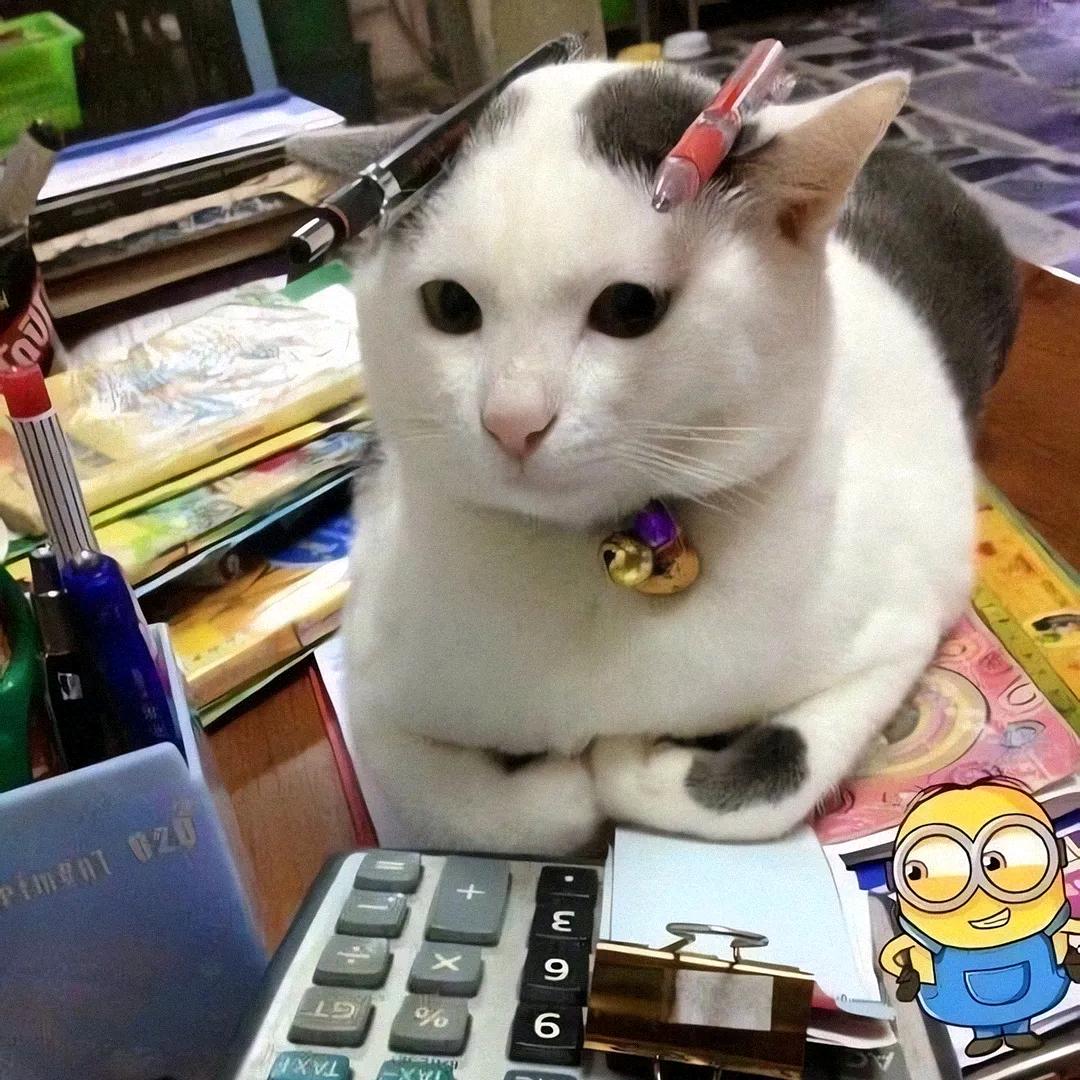 一只银子