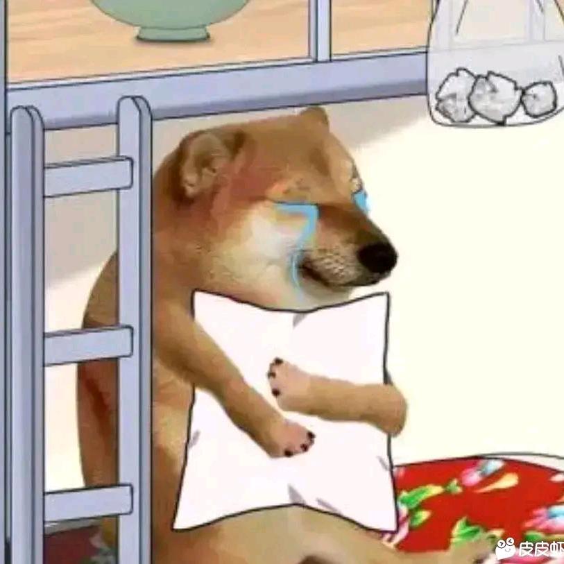 冬天的柑橘树