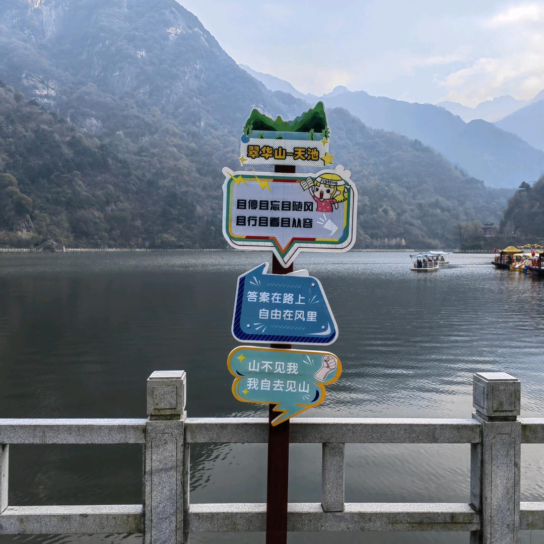 天边的骆驼
