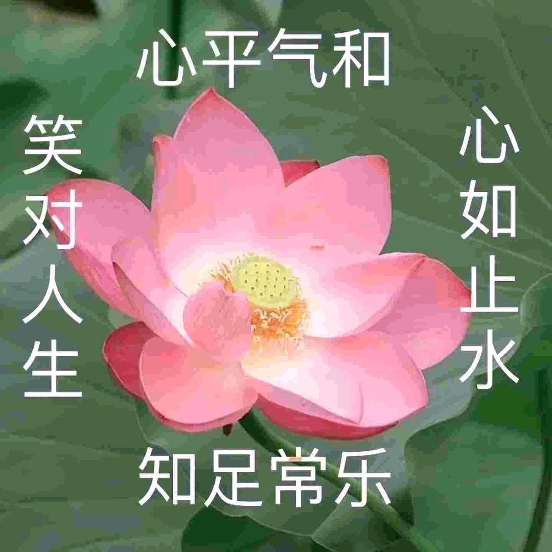 尘音
